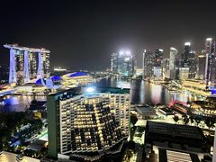 -新加坡泛太平洋酒店