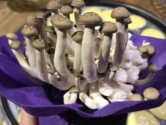 -三人行骨头王火锅(长寿店)