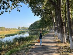 -东郊湿地公园