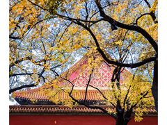 -故宫博物院(故宫)