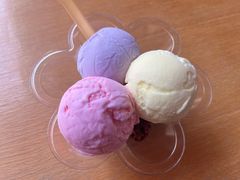 -成裕雪糕店(士多店)