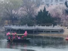 -桃花堤公园