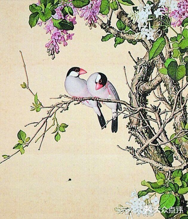 栩栩如生的花鸟图，简直是太漂亮了❗❗