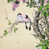 栩栩如生的花鸟图，简直是太漂亮了❗❗