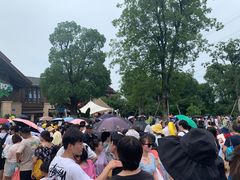 -苏州乐园森林水世界