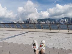 -星光大道