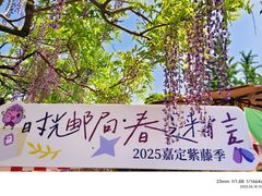 -嘉定紫藤园