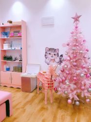 -Lab Season惜辰颜究社