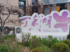 -丁香湖公园