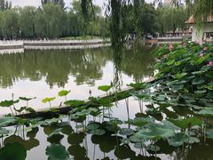 -丰台花园