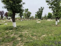 -汉长安城未央宫国家考古遗址公园