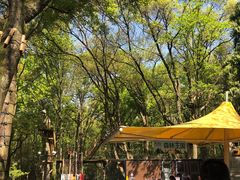 -WeLope紫金山探险公园
