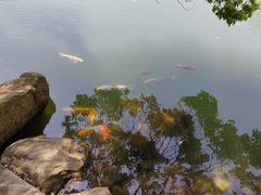 -白马涧龙池景区