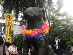-涩谷全向十字路口