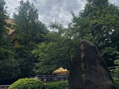 -九华山聚龙大酒店