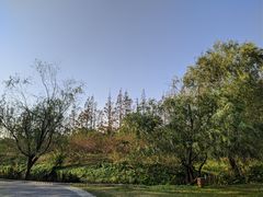 -前小桔亲子创意农场·草莓采摘·露营烧烤