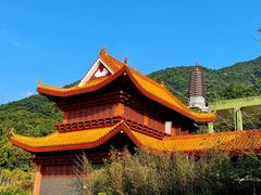-深圳仙湖植物园