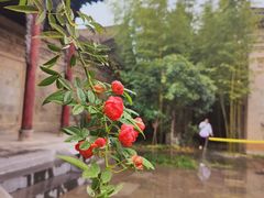 -西安关中民俗艺术博物院