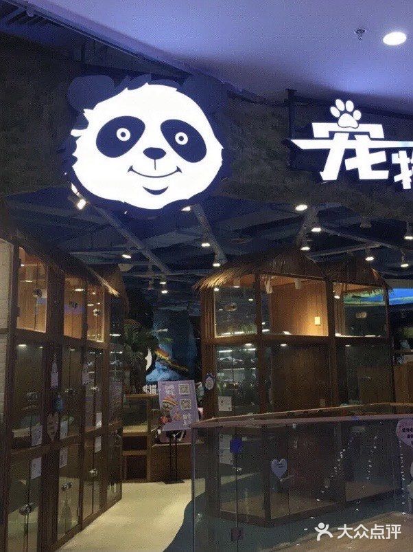 想要带回家的小可爱们！[鬼脸]