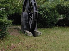 -广富林郊野公园