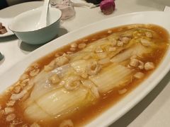 娃娃菜-蝶园·装修中(BFC外滩金融中心店)