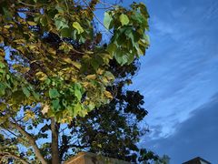 -中鸿记老院子(玉村南路店)