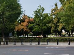 -大连人民广场