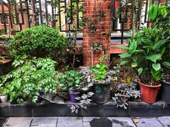 -璐坊粽王(复兴中路店)