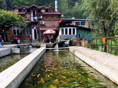 鱼塘-北京水岸山吧度假村(雁栖镇店)