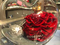 -ROSEONLY诺誓(广州K11店)