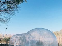 -Supine Bistro溯泮餐厅