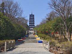 -宜兴龙背山森林公园