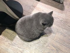 -小时光咖啡馆(开森度假森林店)