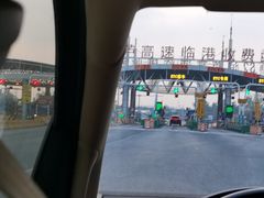 -芦潮港集贸市场