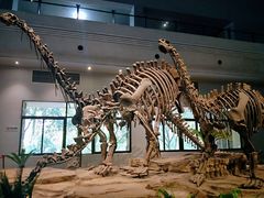 -自贡恐龙博物馆