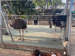 -迪茵湖田家舍生态农场