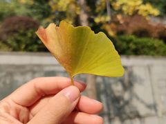 -杭州半山国家森林公园