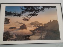 -香积寺