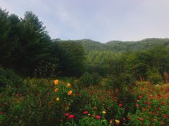 -参仙谷生态旅游度假区