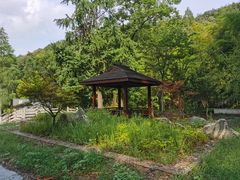 -素山寺森林公园