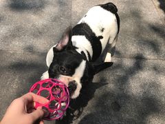 -老地方猫儿面(磁器口店)