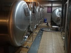 -宝莱纳啤酒花园餐厅PAULANER BRAUHAUS Nanjing(广州路店)