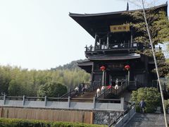 -大唐贡茶院
