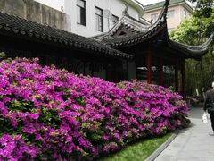 -常州古运河南大街文化旅游区-人民公园