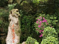 -杭州黄龙洞