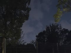 -九科绿洲