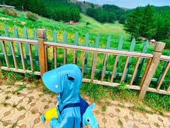 -驼梁风景区