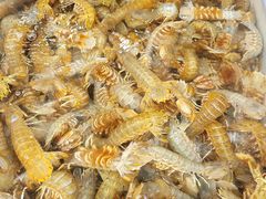 -盛华世家商业广场农贸水产综合批发市场