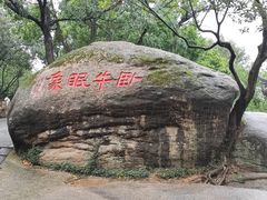 -灵岩山风景区