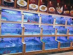 餐具摆设-老蒲鲜·地标·非遗美食(涵江店)